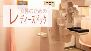 レディースドック